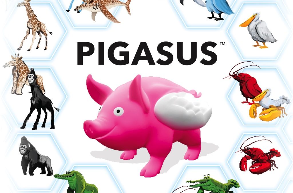 Pigasus Tutorial